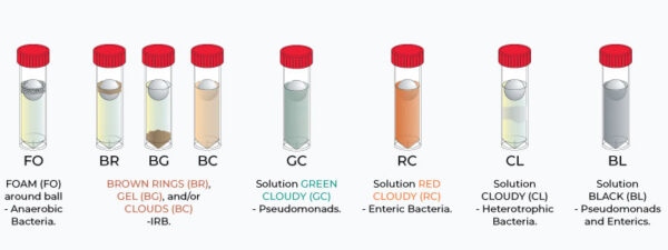 IRB Iron Related Bacteria Biological Activity Reaction Test (BART) Kit ...